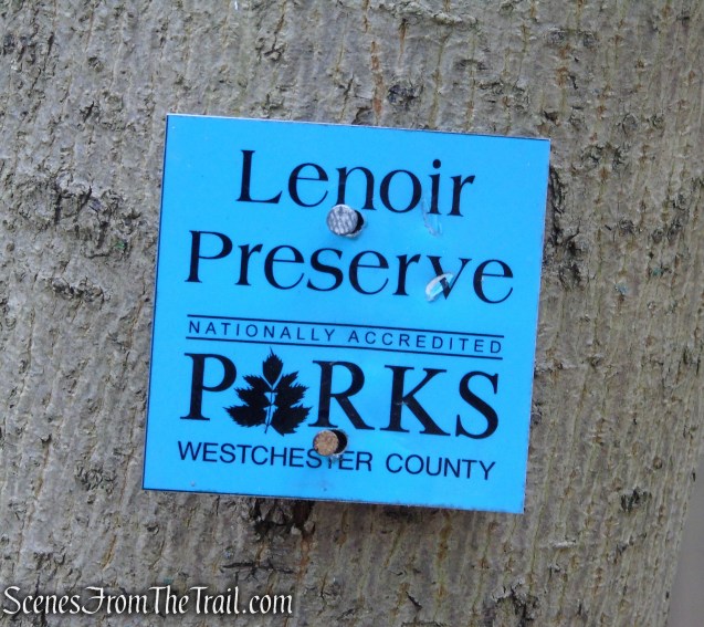 Blue Trail - Lenoir Preserve