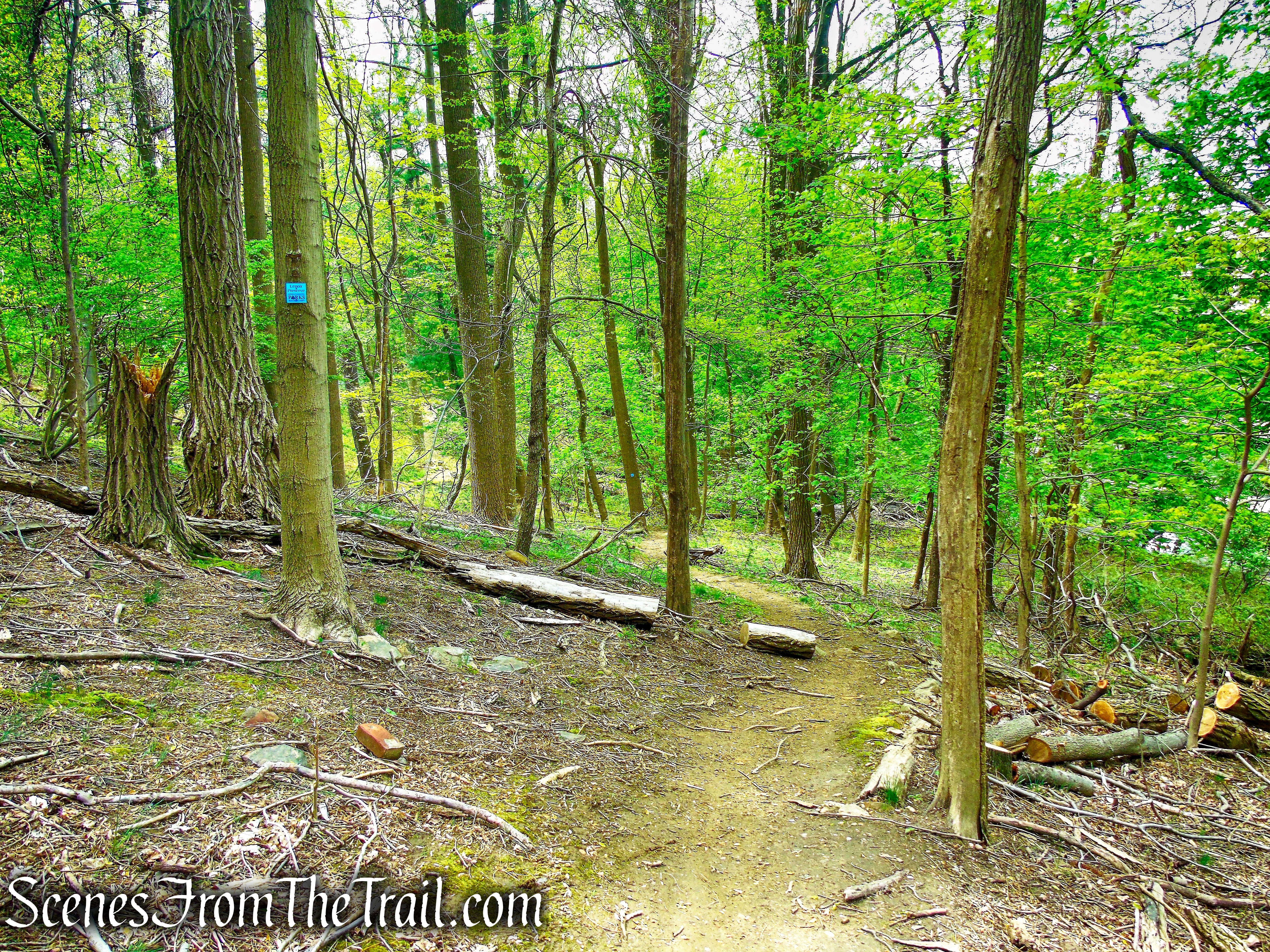 Blue Trail - Lenoir Preserve