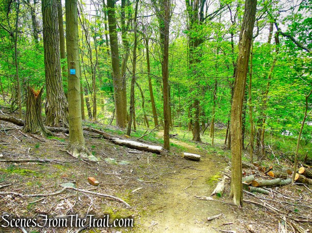 Blue Trail - Lenoir Preserve