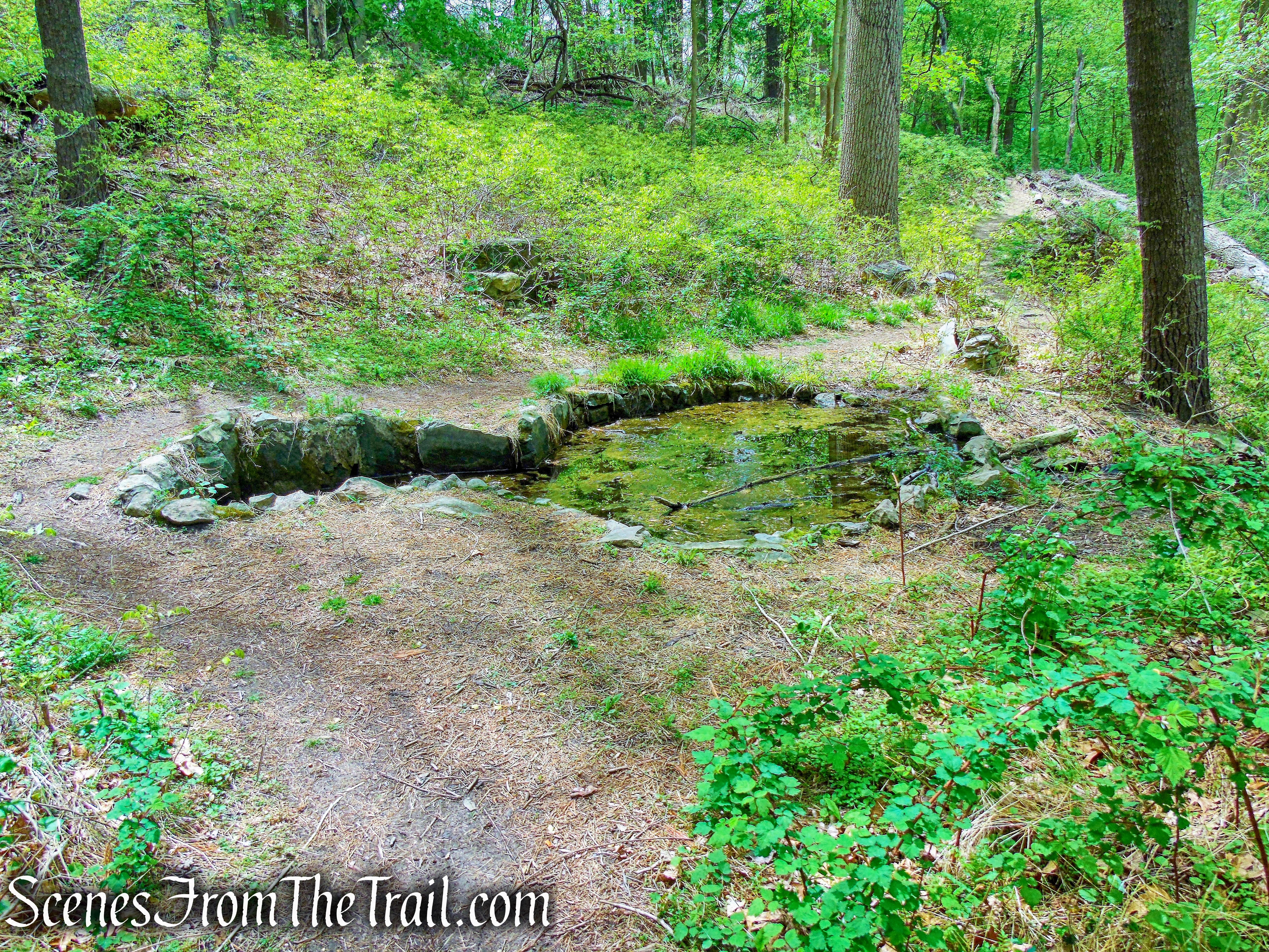Blue Trail - Lenoir Preserve