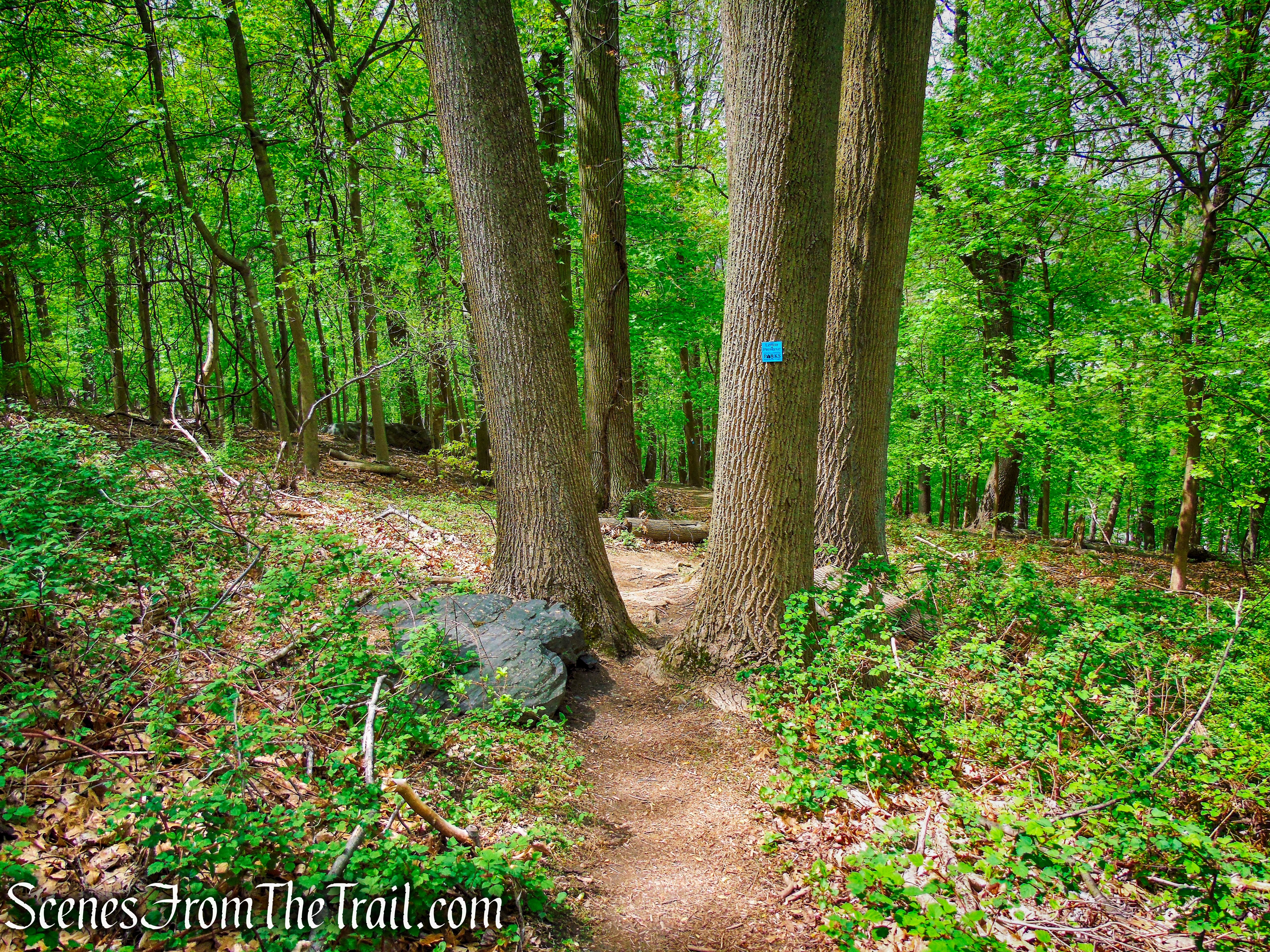 Blue Trail - Lenoir Preserve
