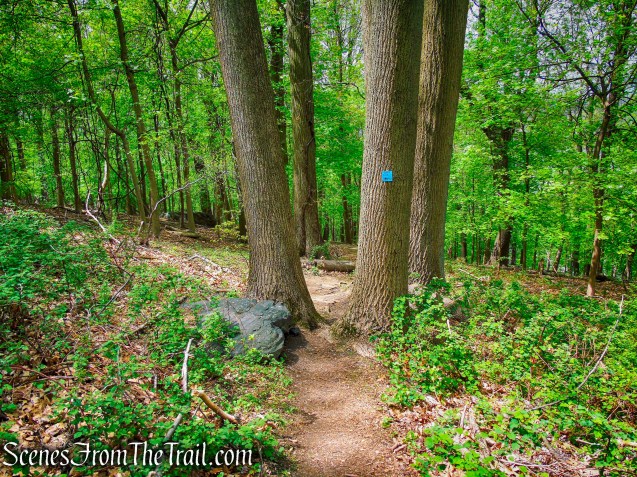 Blue Trail - Lenoir Preserve