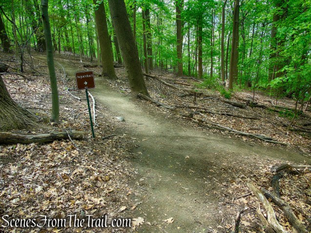 Blue Trail - Lenoir Preserve