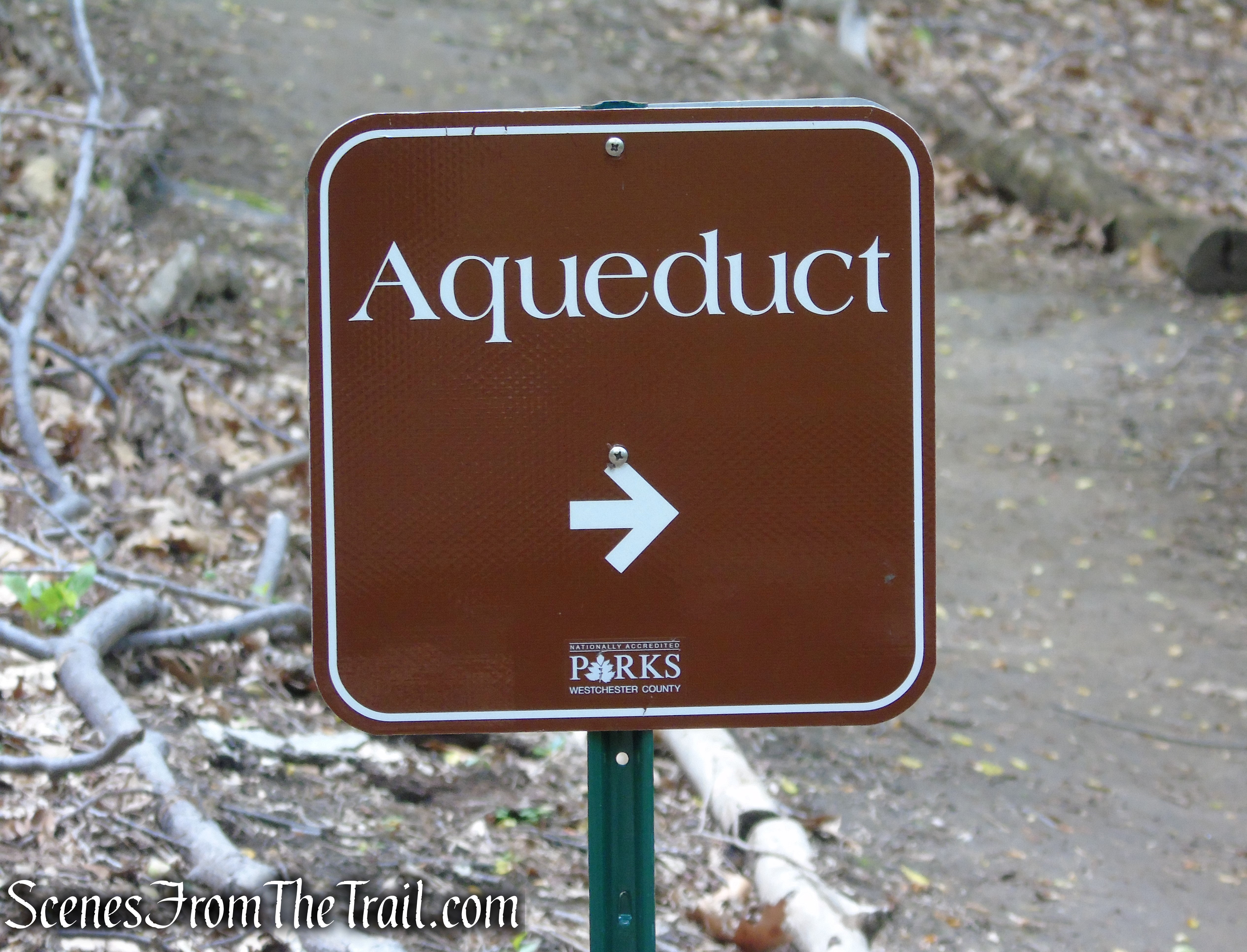 Blue Trail - Lenoir Preserve