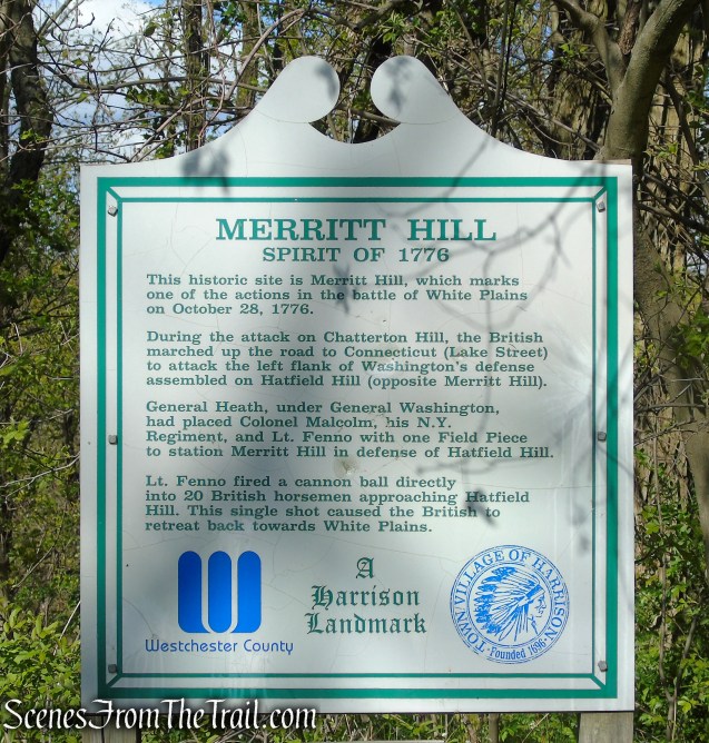 Merritt Hill - Silver Lake Preserve