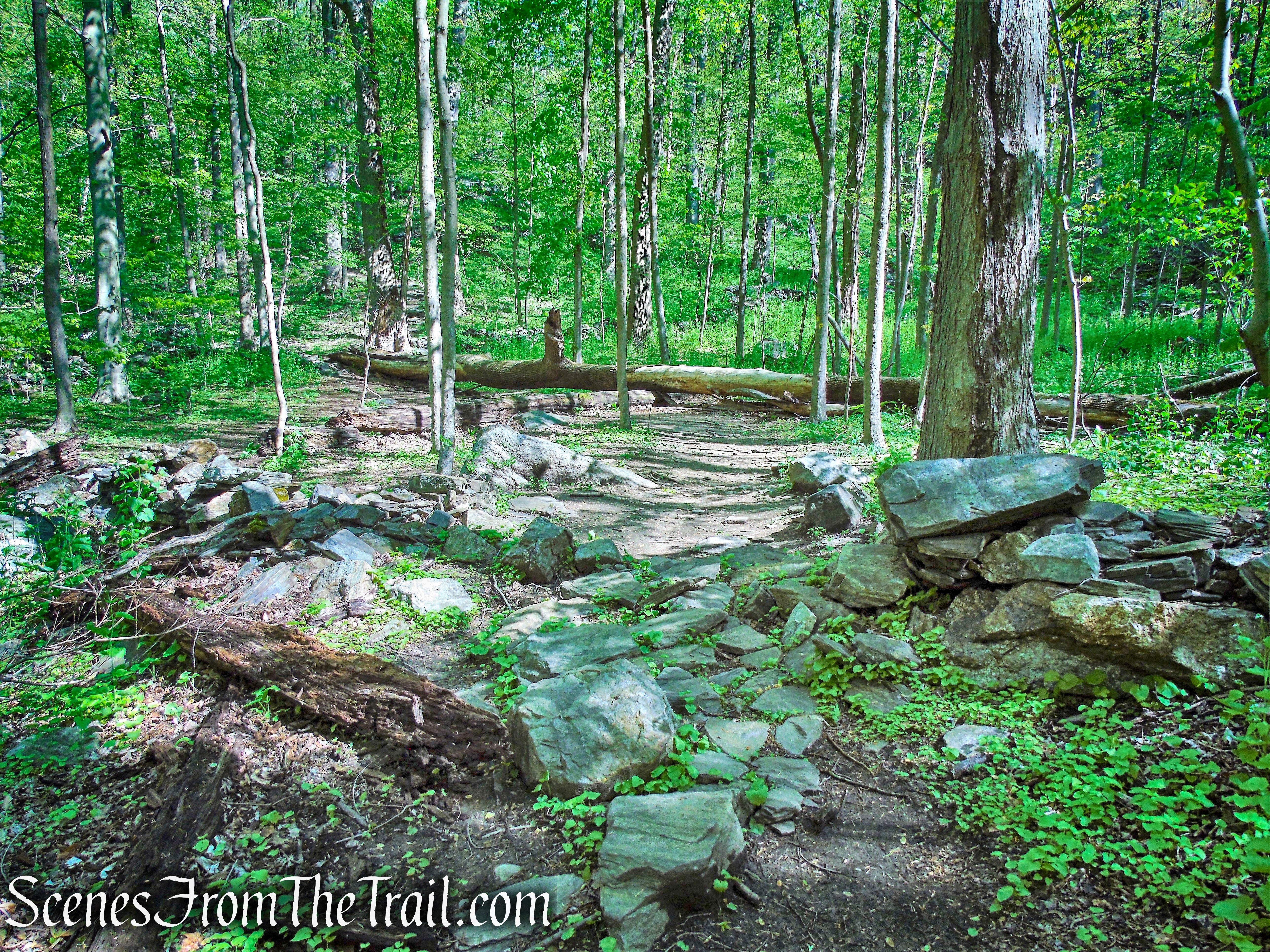 Yellow Trail - Silver Lake Preserve