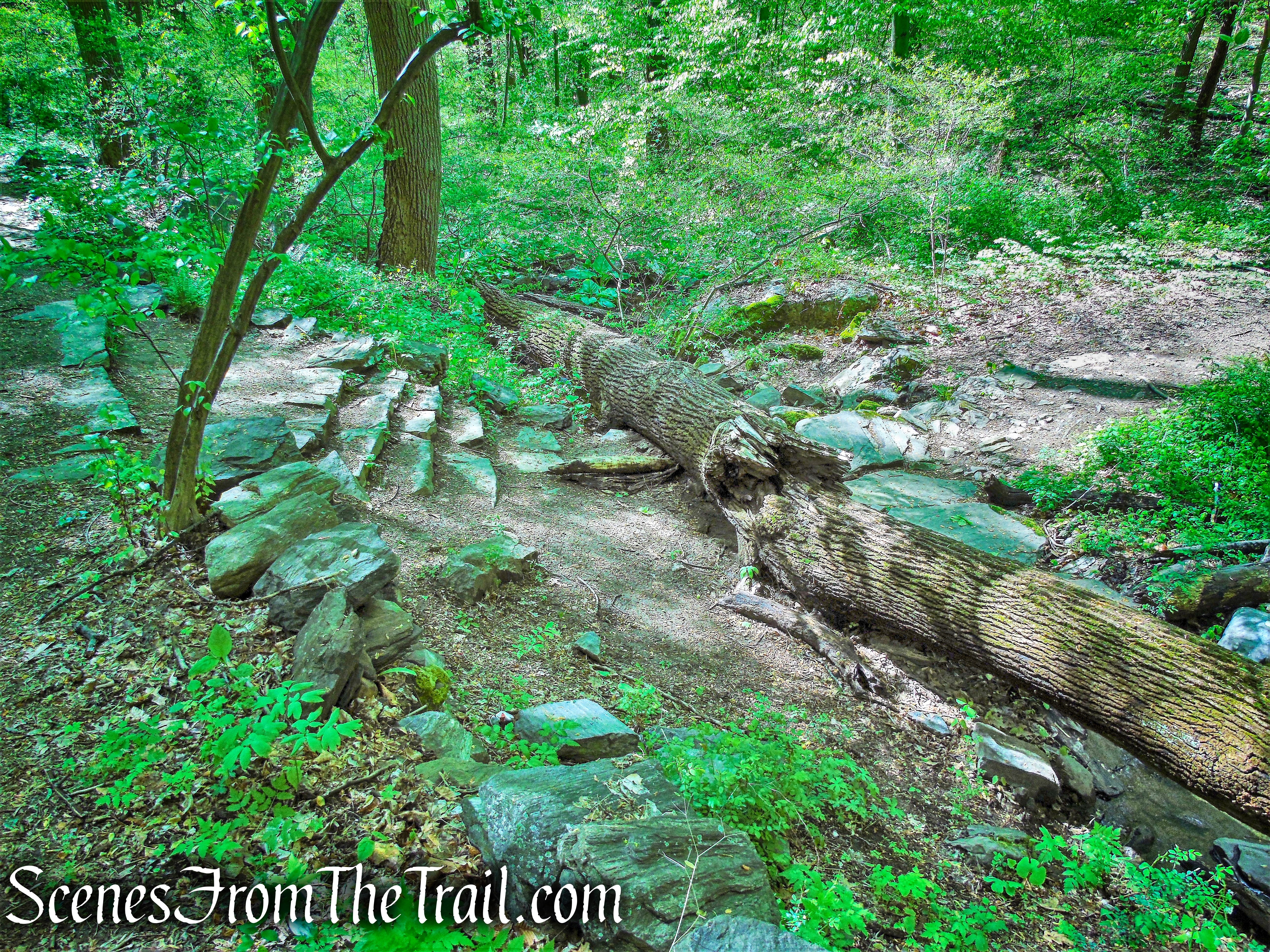 Yellow Trail - Silver Lake Preserve