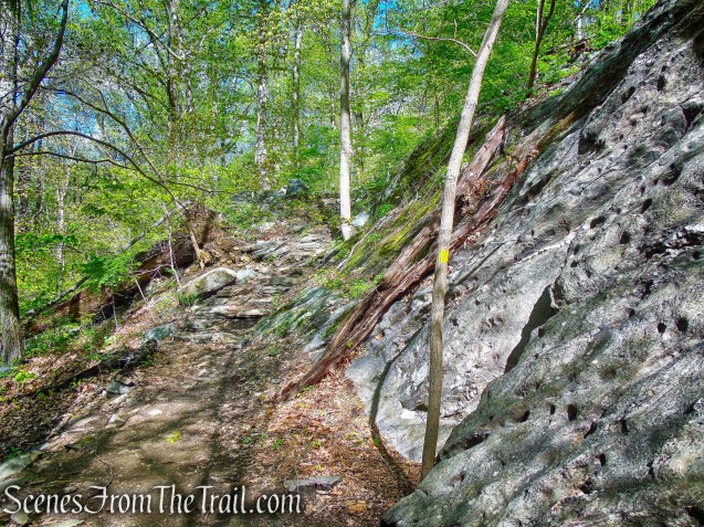 Yellow Trail - Silver Lake Preserve
