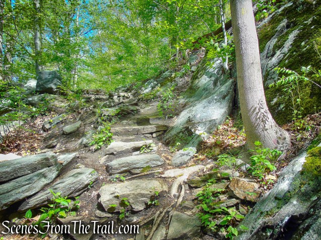 Yellow Trail - Silver Lake Preserve