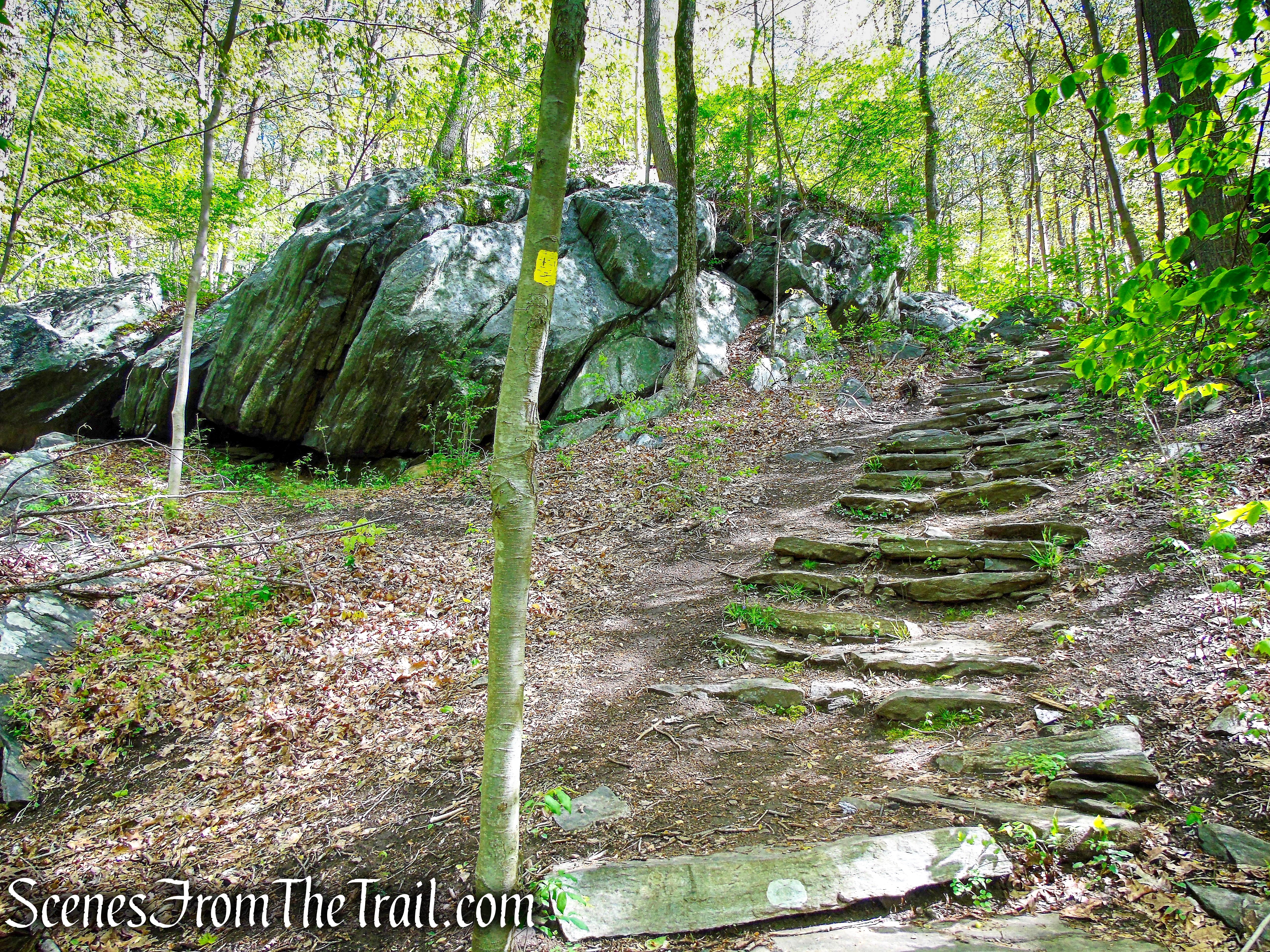 Yellow Trail - Silver Lake Preserve