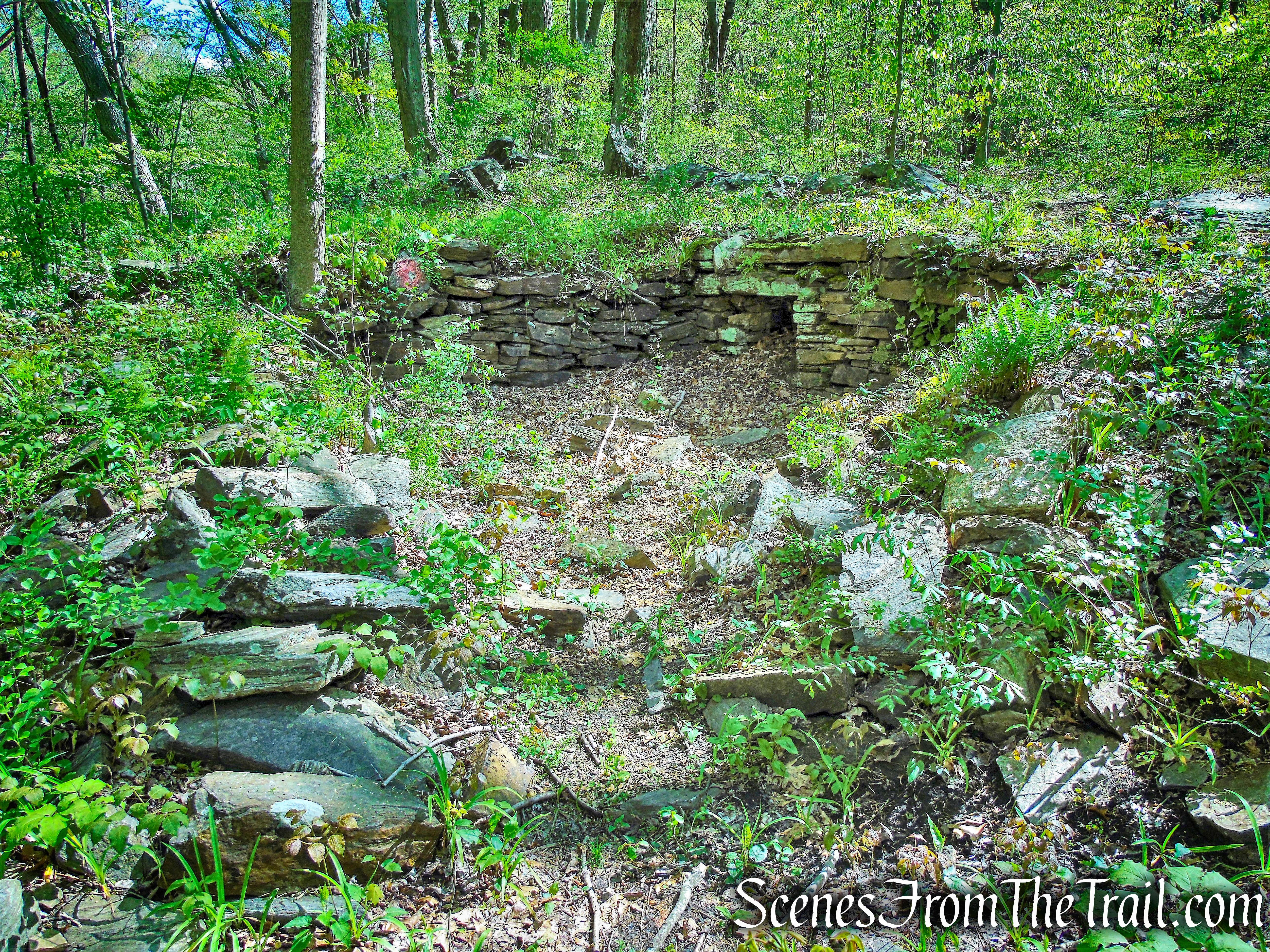 ruins - Yellow Trail - Silver Lake Preserve