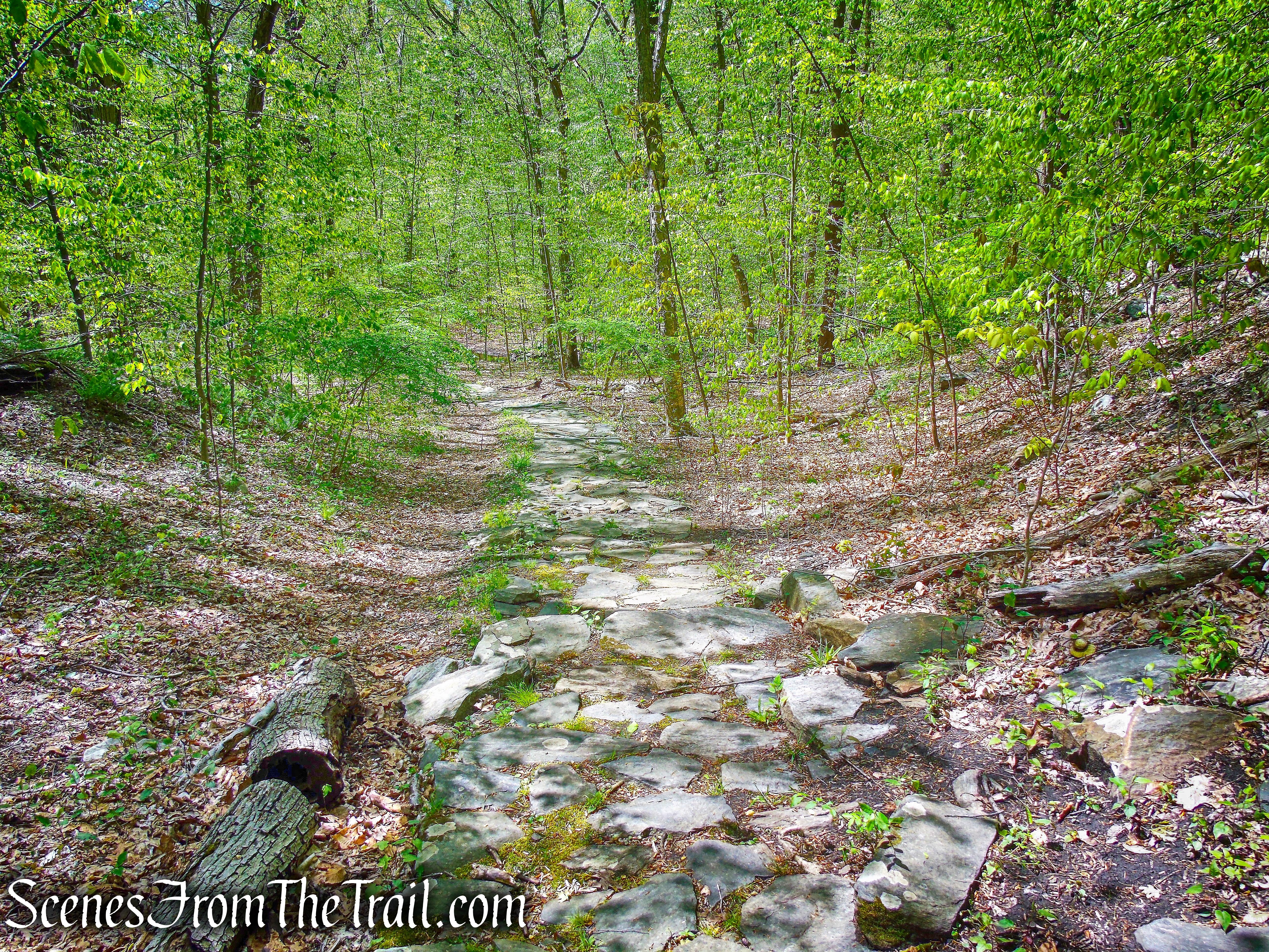 Yellow Trail - Silver Lake Preserve
