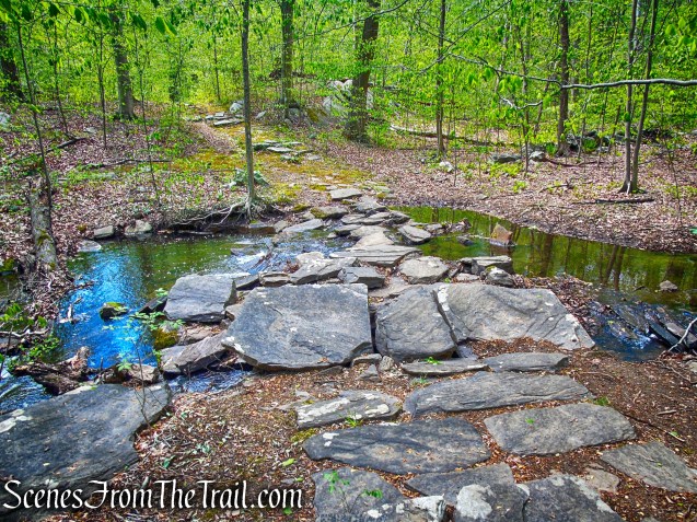 Yellow Trail - Silver Lake Preserve