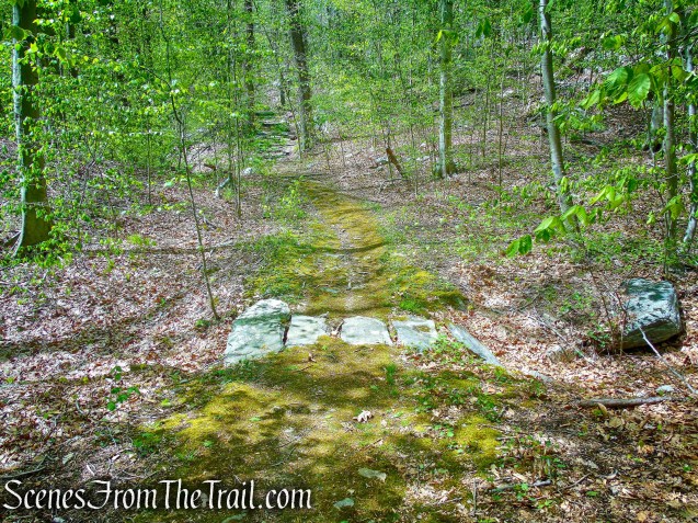 White Trail - Silver Lake Preserve 