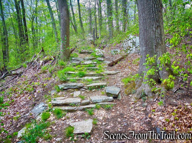 White Trail - Silver Lake Preserve 