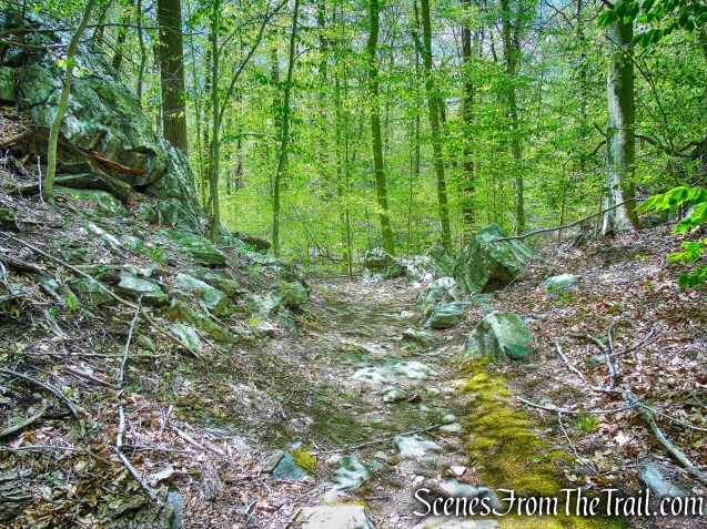 White Trail - Silver Lake Preserve 