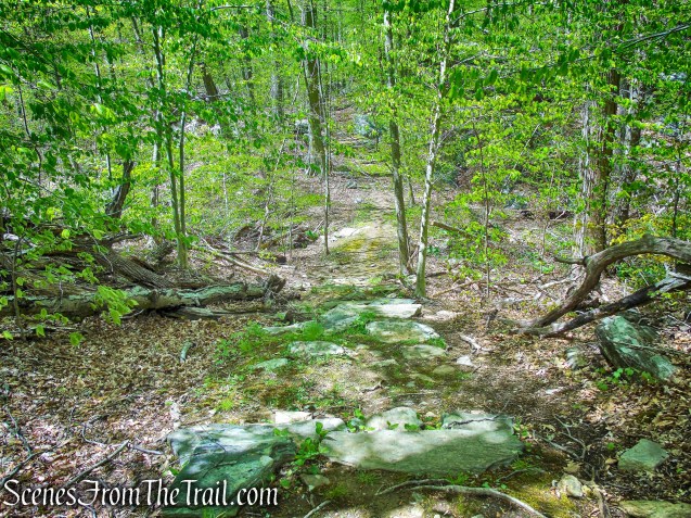 White Trail - Silver Lake Preserve 