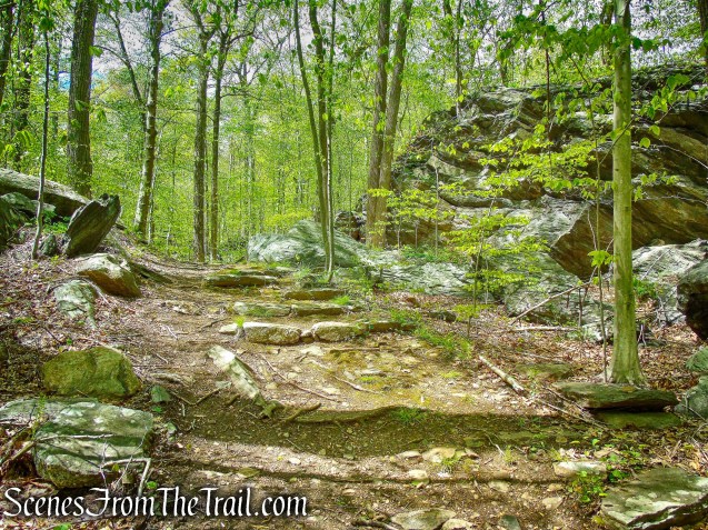 White Trail - Silver Lake Preserve 
