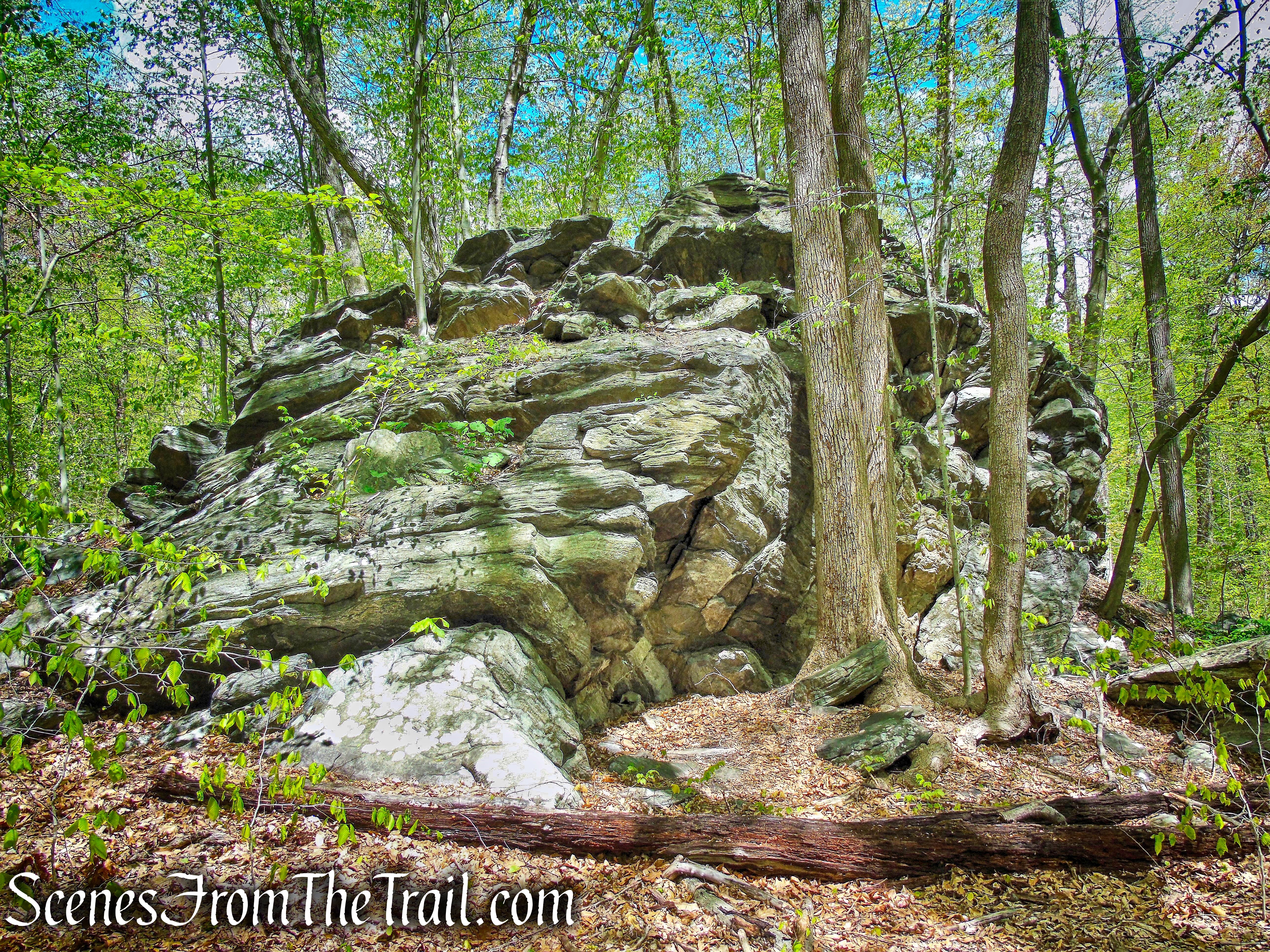 White Trail - Silver Lake Preserve 