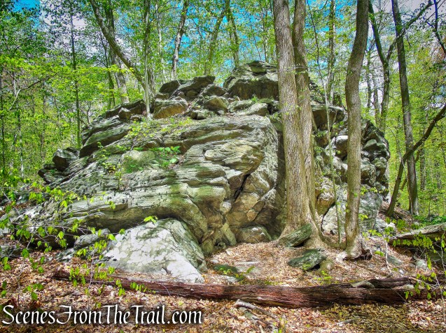 White Trail - Silver Lake Preserve 