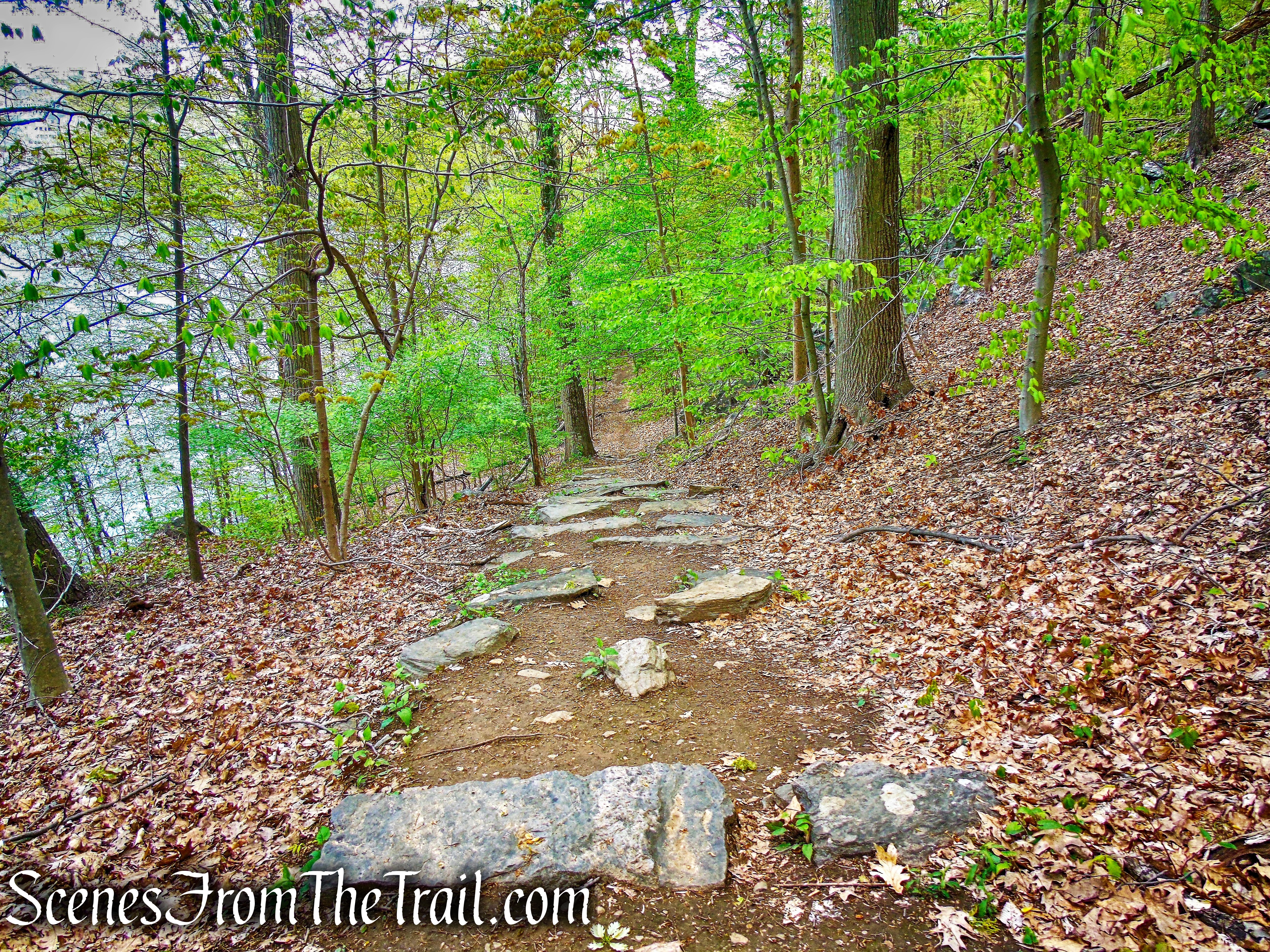 White Trail - Silver Lake Preserve 