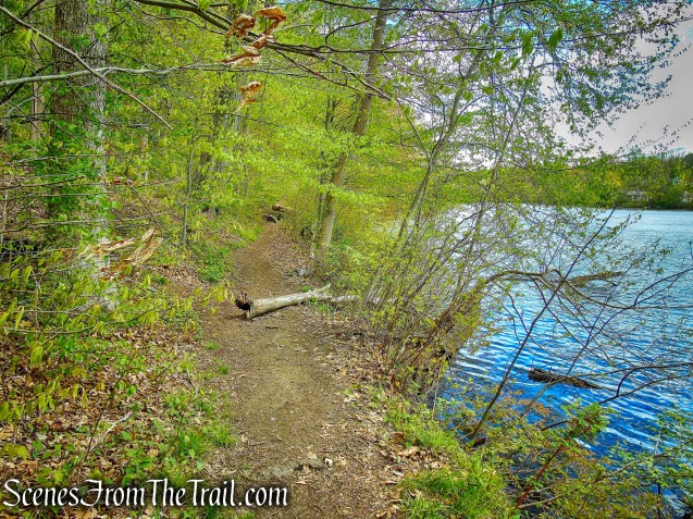 White Trail - Silver Lake Preserve 