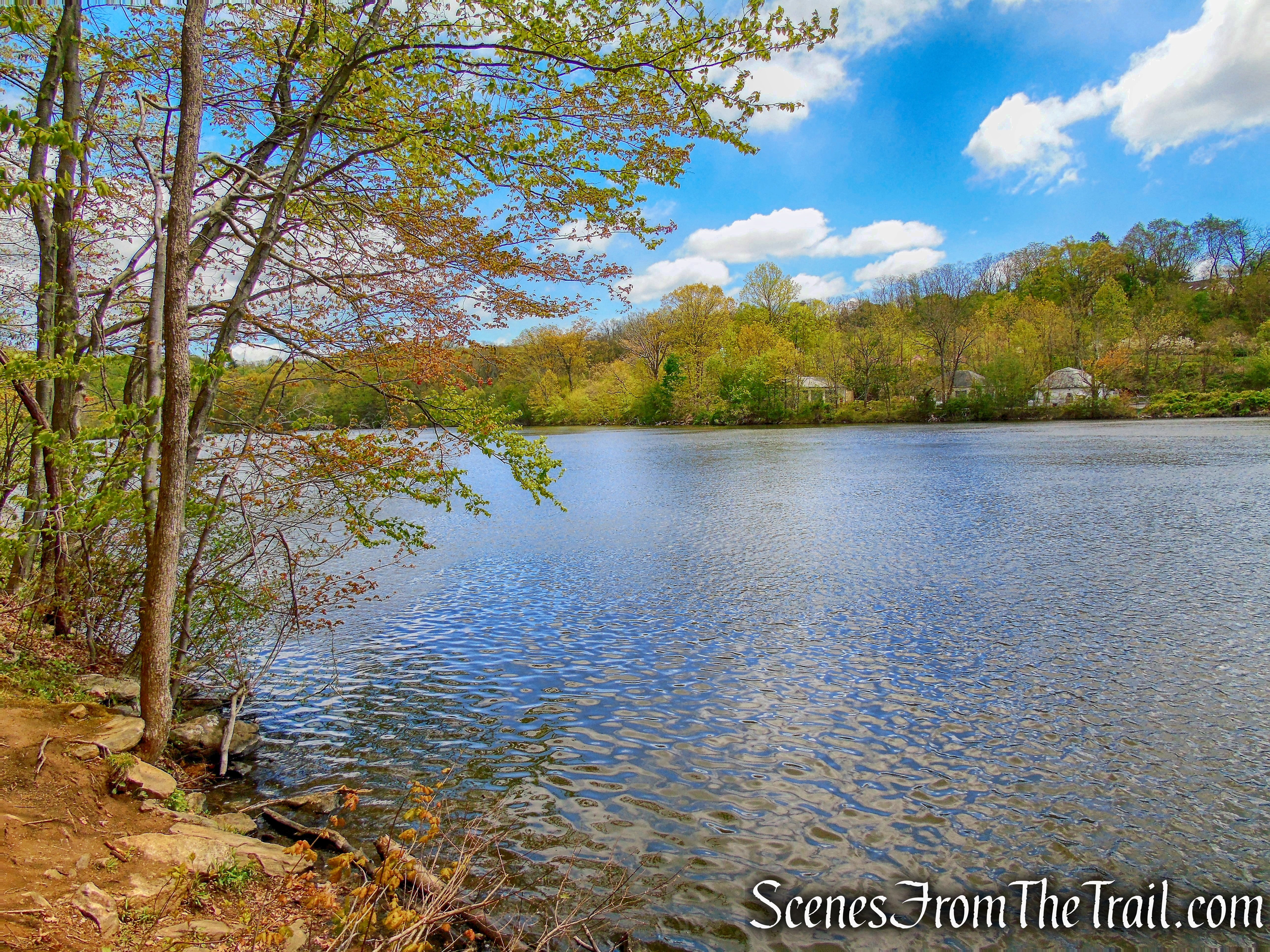 White Trail - Silver Lake Preserve 