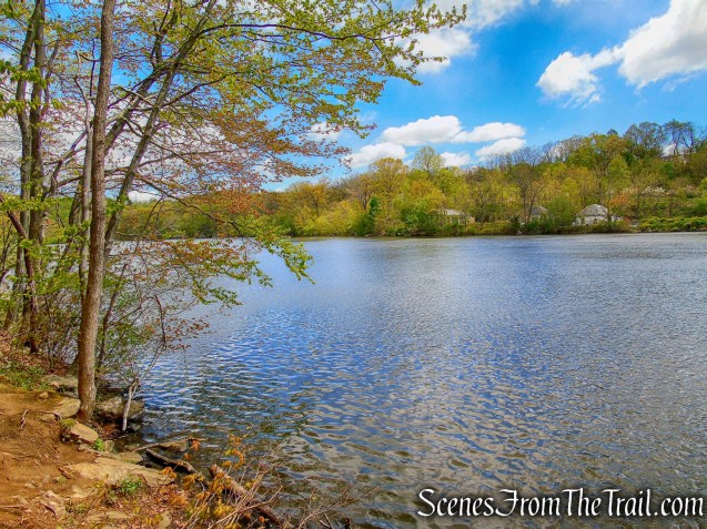 White Trail - Silver Lake Preserve 