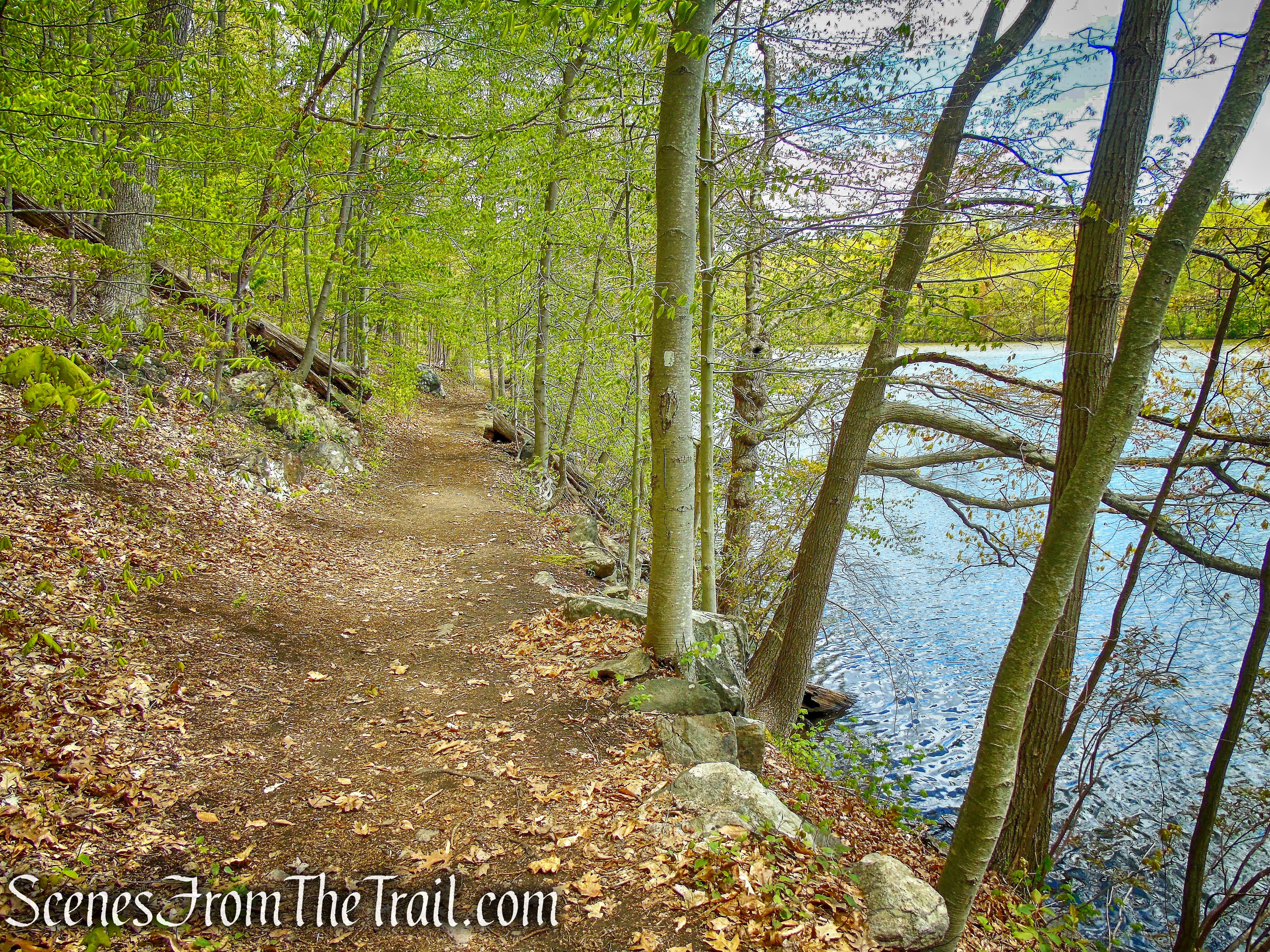 White Trail - Silver Lake Preserve 