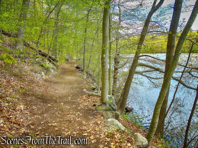 White Trail - Silver Lake Preserve 