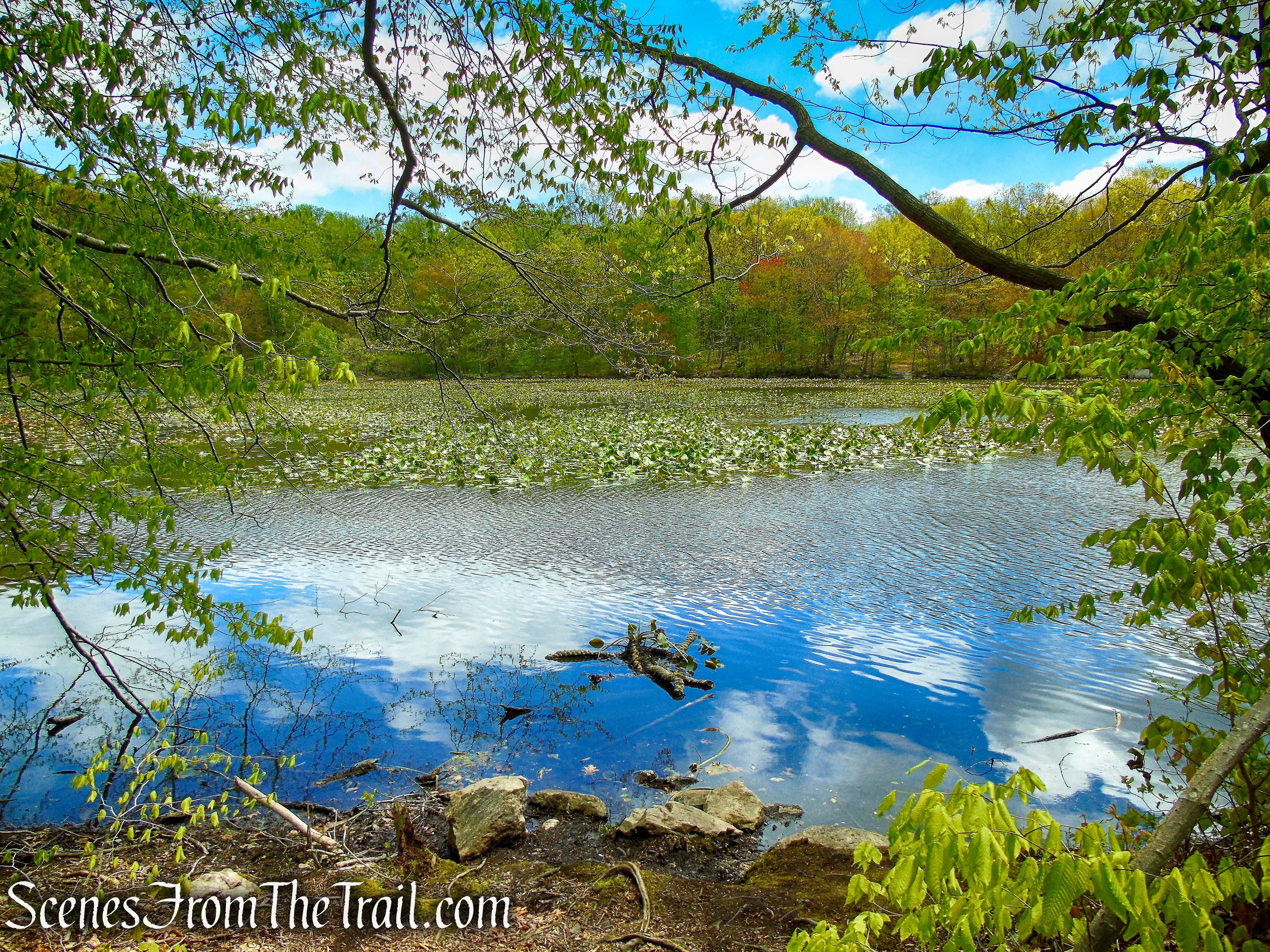 White Trail - Silver Lake Preserve 