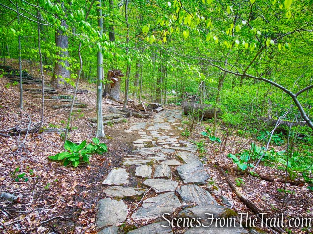 Yellow/White Trails - Silver Lake Preserve 