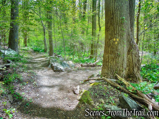 Yellow Trail - Silver Lake Preserve