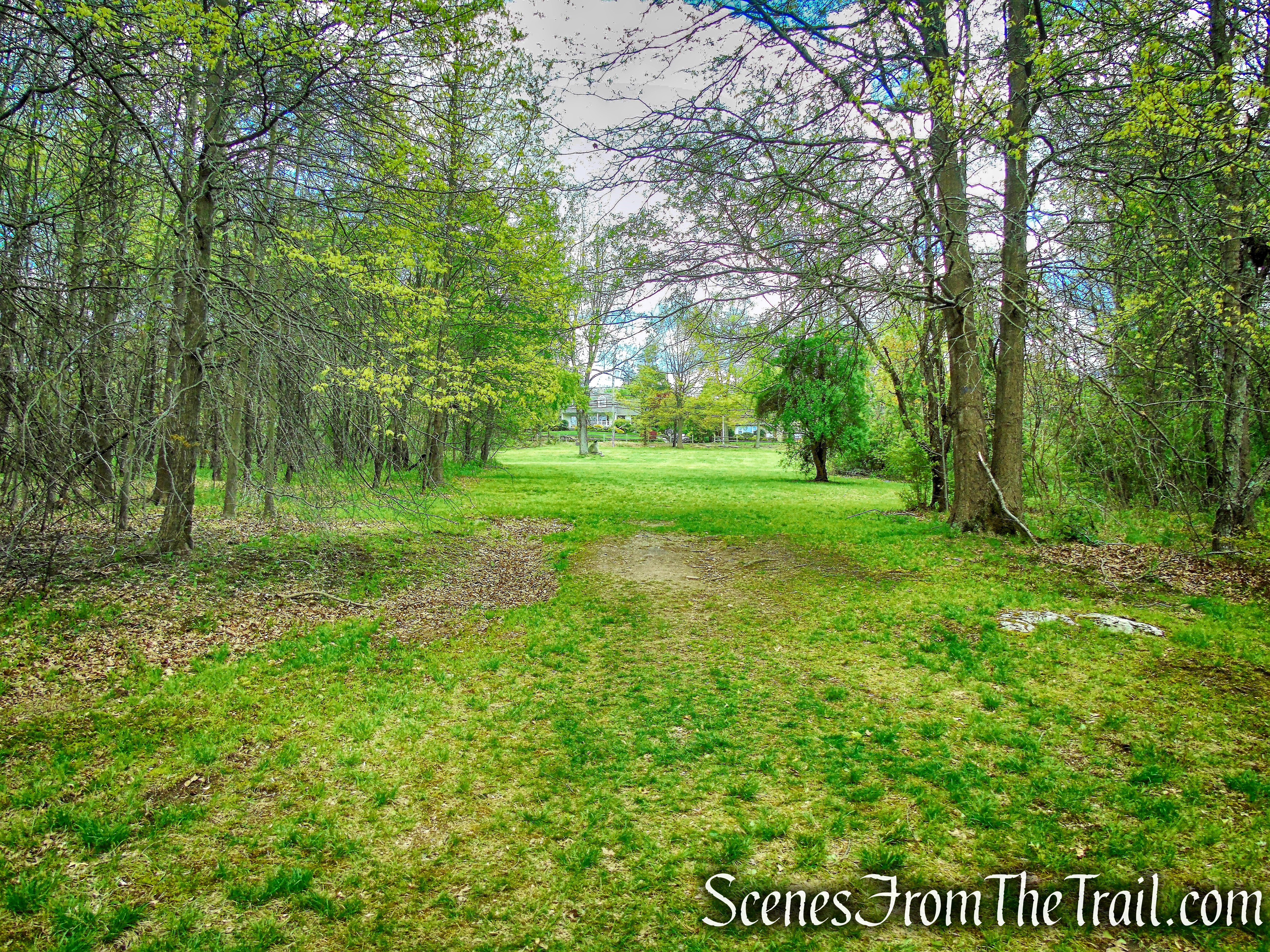 Blue Trail - Silver Lake Preserve
