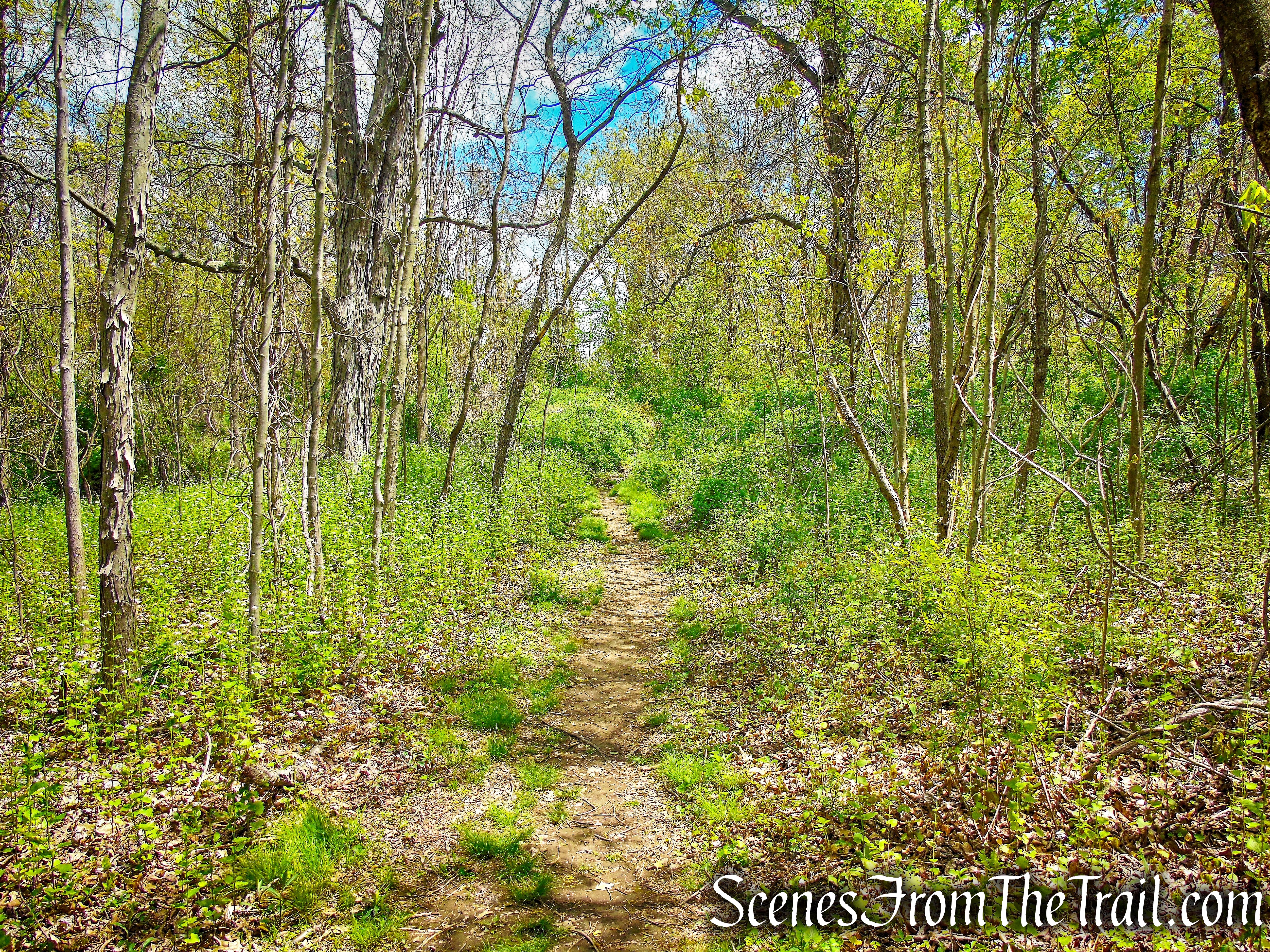 Blue Trail - Silver Lake Preserve