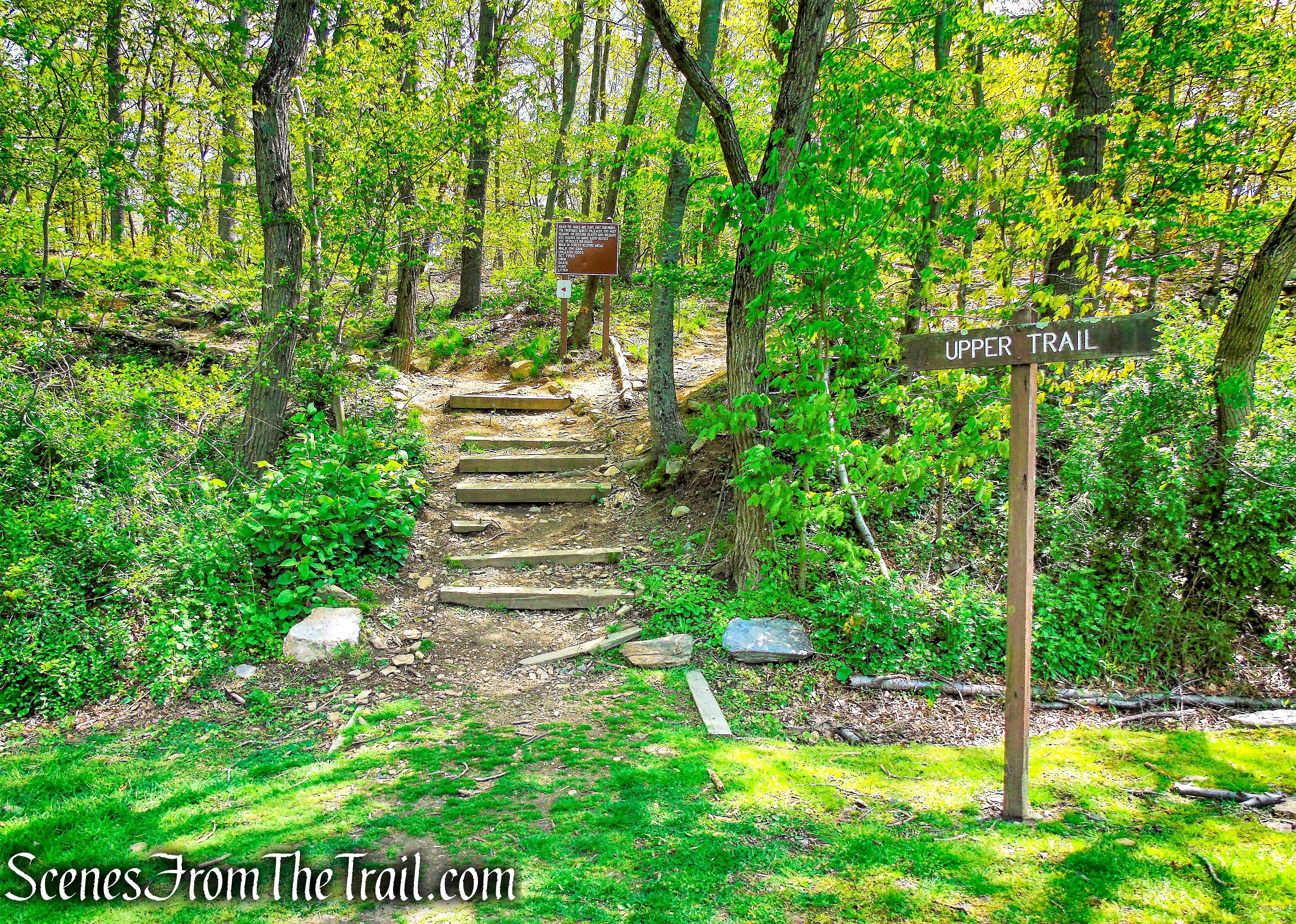 Upper Trail - Larchmont Reservoir