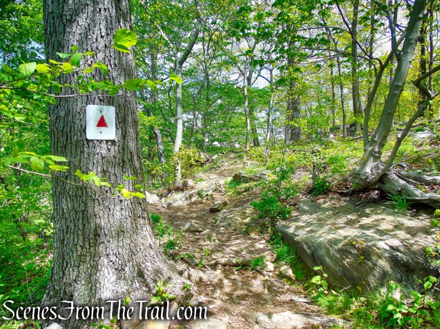 Upper Trail - Larchmont Reservoir