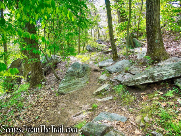 Upper Trail - Larchmont Reservoir