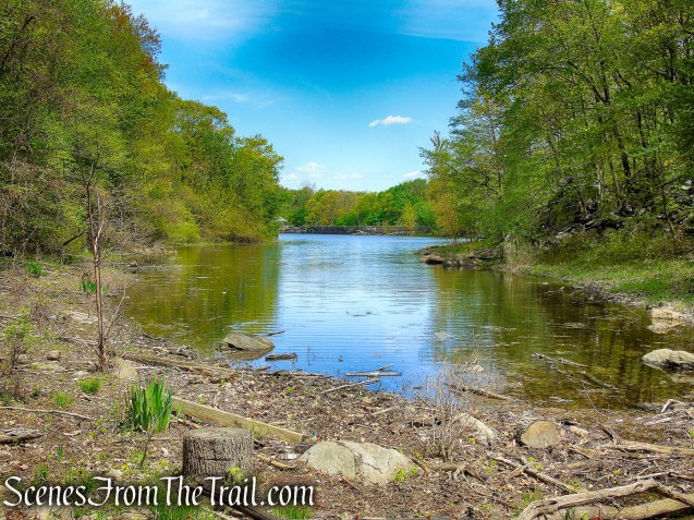 southern end of Sheldrake Lake