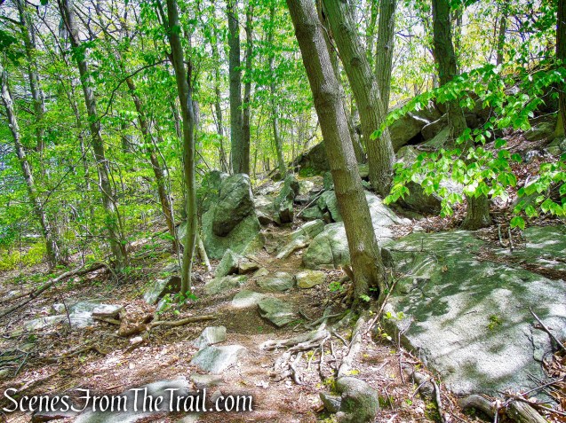 Upper Trail - Larchmont Reservoir