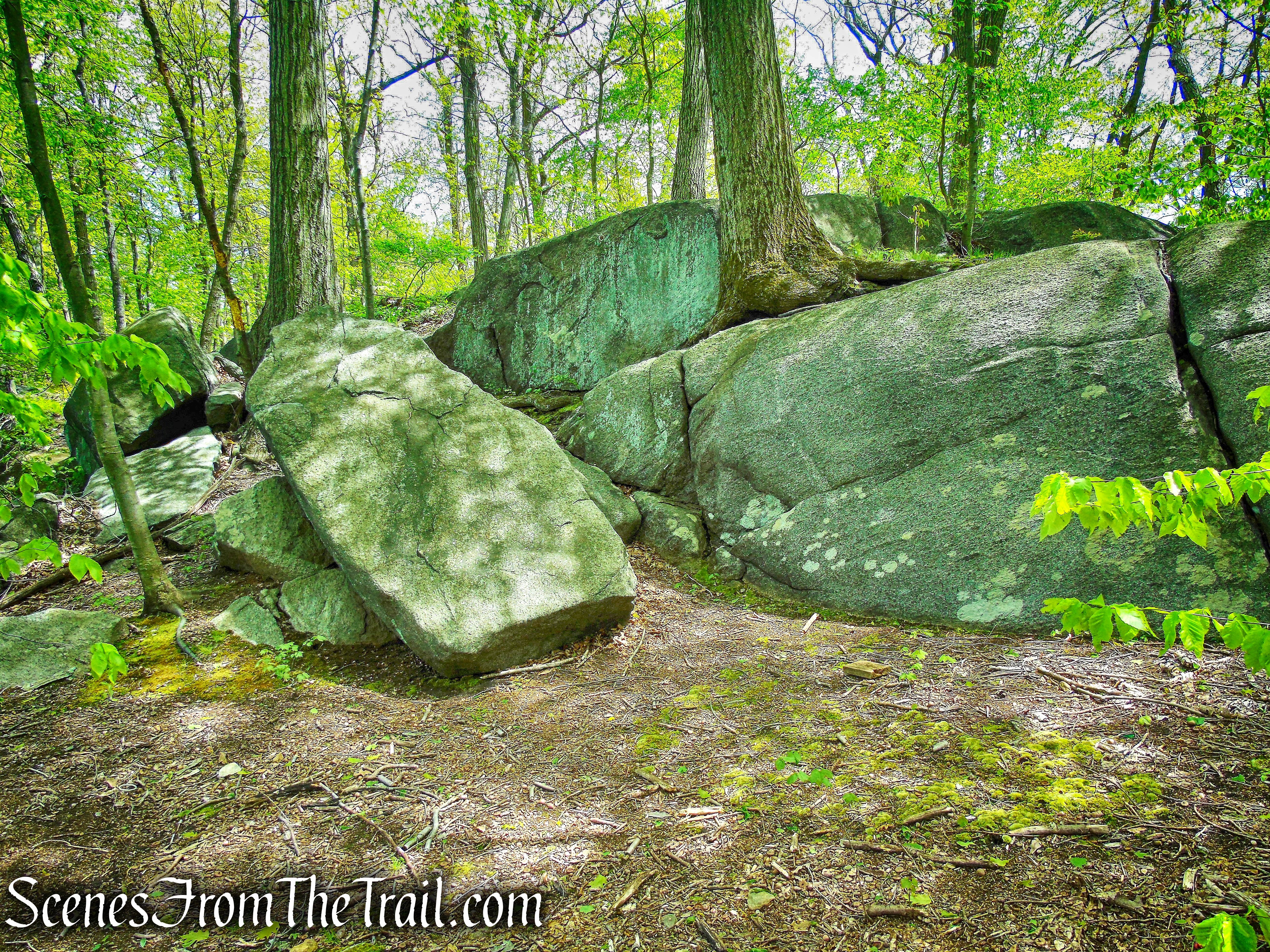 Upper Trail - Larchmont Reservoir