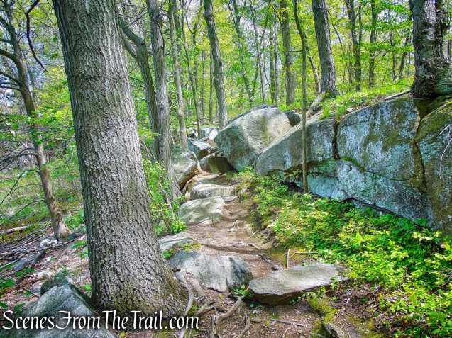 Upper Trail - Larchmont Reservoir