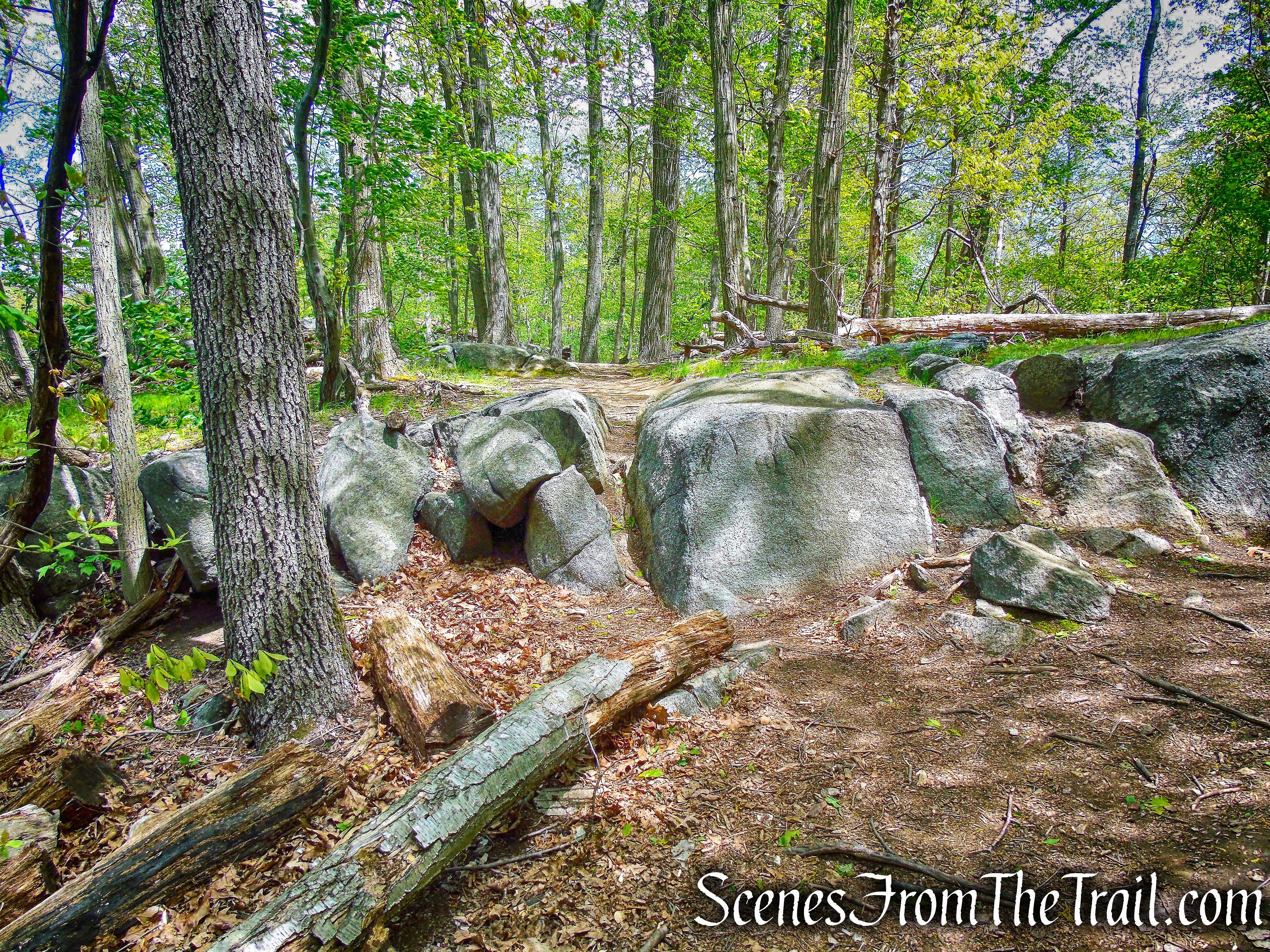 Upper Trail - Larchmont Reservoir
