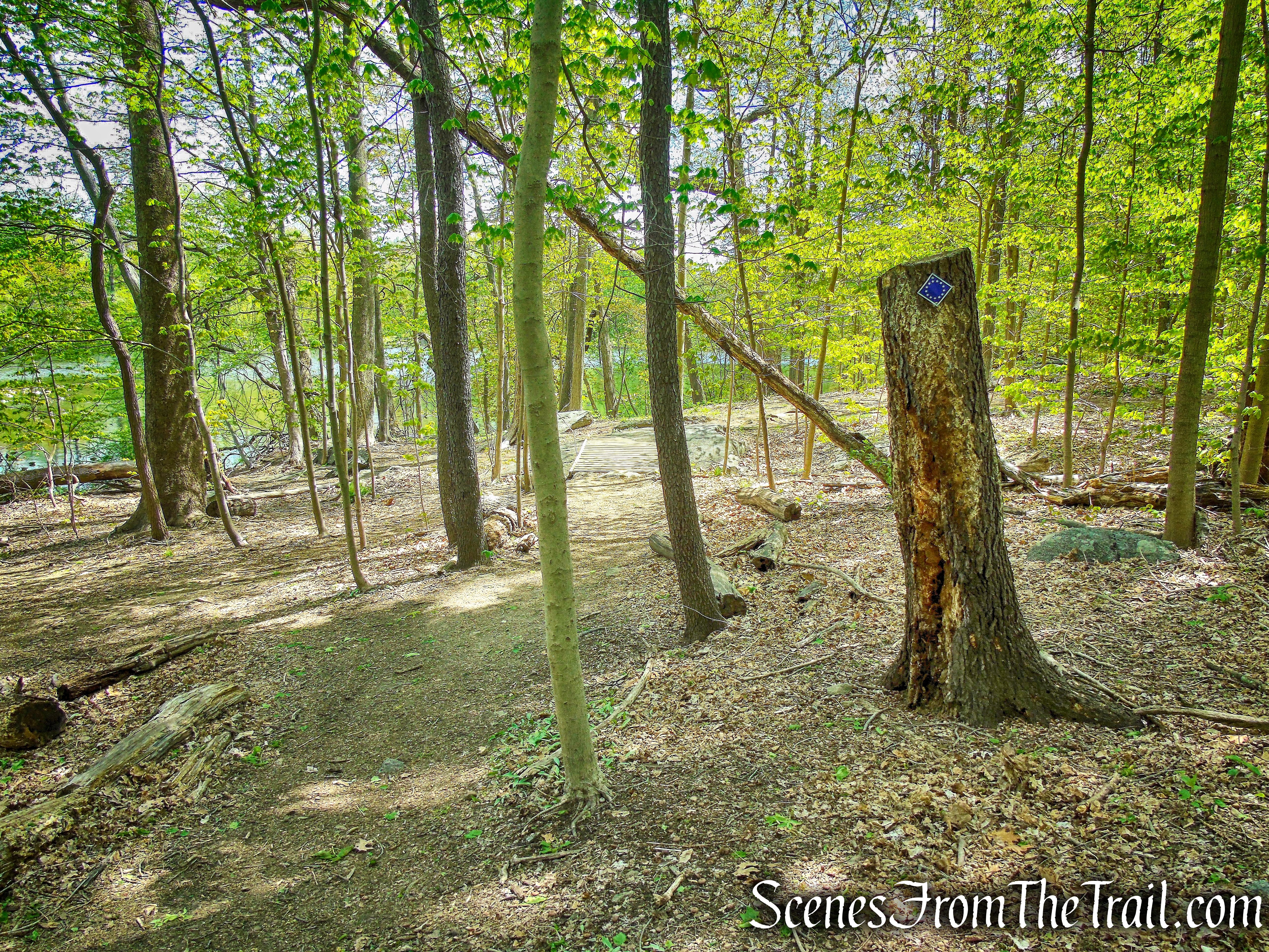 Colonial Greenway - Larchmont Reservoir