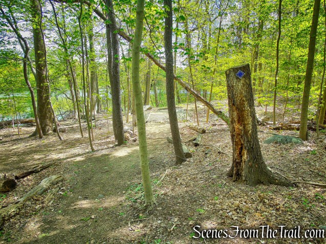 Colonial Greenway - Larchmont Reservoir