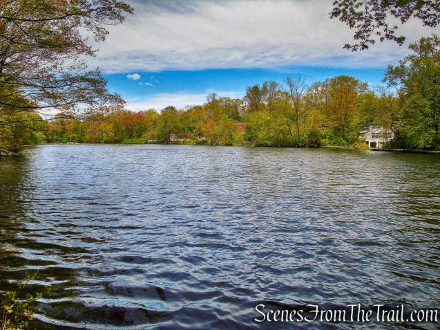 Goodliffe Pond - Larchmont Reservoir