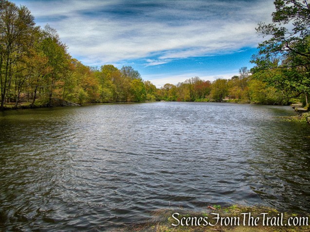 Goodliffe Pond - Larchmont Reservoir