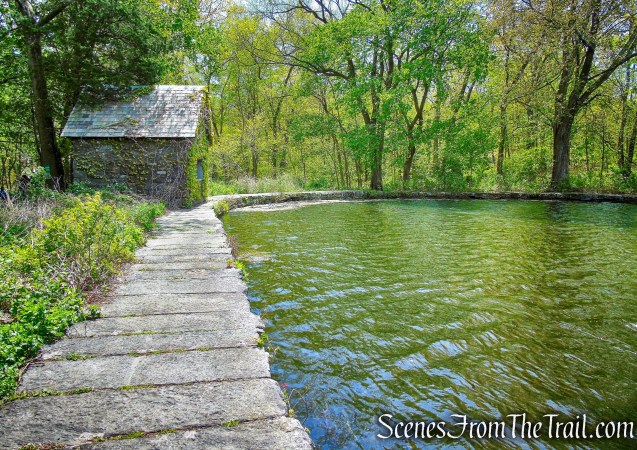 Goodliffe Pond - Larchmont Reservoir