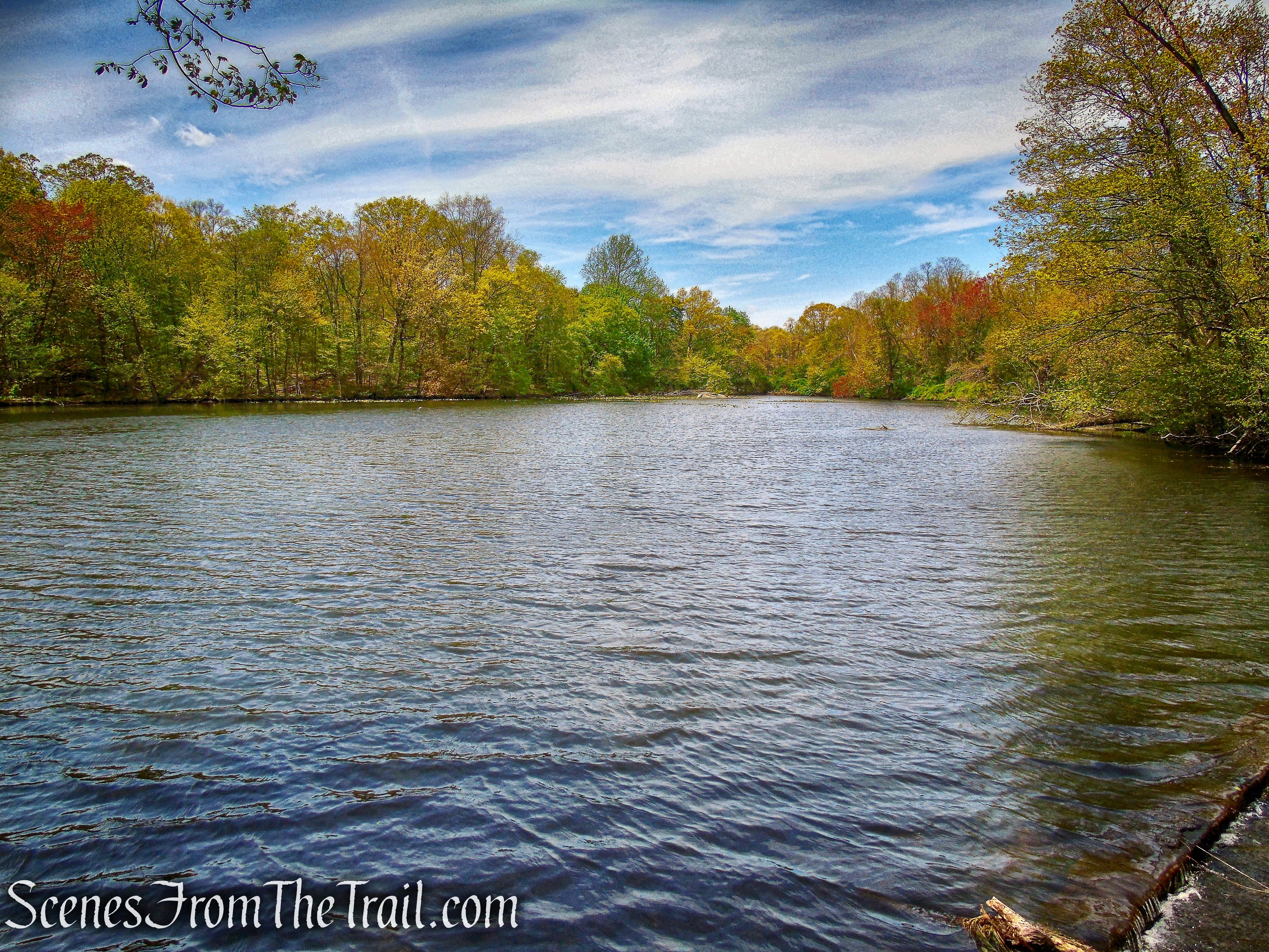 Goodliffe Pond - Larchmont Reservoir