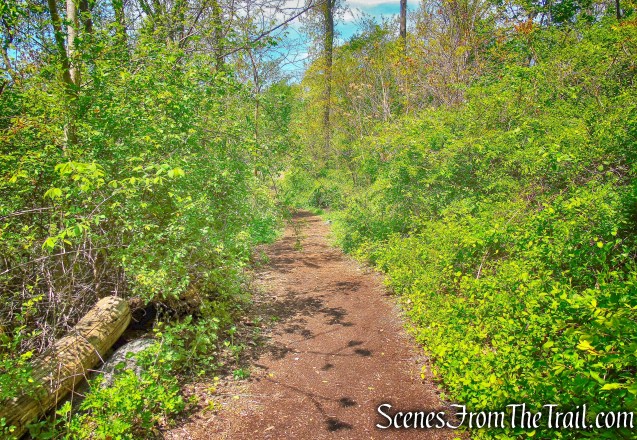 Leddy Trail - Larchmont Reservoir